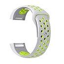 Brain Freezer Replacement Silicone Strap Compatible with FitBit Charge 2 Fitness Tracker (Silver and Yellow, Large) (Device Not Included)