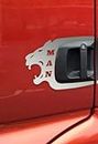 Mabi Automotive Parts 2 decorazioni a forma di leone per maniglia della porta in acciaio inox per camion TGA TGS TGX TGL Euro 5 ed Euro 6