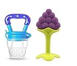 Gilli Shopee BPA Free Non-Toxic Silicone Soft Teether, Fruit and Food Feeder/Nibbler/Pacifier for Baby, Infants and Toddlers (6 Months+) - Blue and Purple