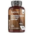 Ashwagandha KSM-66 1500mg de Concentración 180 Comprimidos Veganos - 10:1 Extracto de Raíz de Withania Somnifera (Ginseng Indio), Bienestar y Equilibrio de Tradición Ayurvédica para 6 Meses