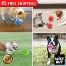 Flying Saucer Ball Interactive Outdoor Sports Training Games Dog Throw Disc Toys