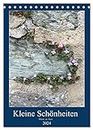 Kleine Schönheiten an Stein (Tischkalender 2024 DIN A5 hoch), CALVENDO Monatskalender: Kleine Blüten auf dem Weg zur Achtsamkeit.