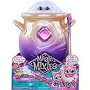 Magic Mixies - Magical Misting Cauldron with Interactive 20cm Pink Plush Toy 14651