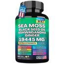 Sea Moss, Black Seed Oil, Ashwagandha, Turmeric, Ginger (16 in 1 Multivitamin)