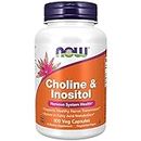 Now Foods, Choline & Inositol, 500 mg, 100 Capsules