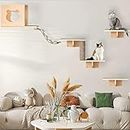 Cat Wall Shelves, Cat Shelves and Perches for Wall, Cat Wall Furniture Set 7 PCS Wall Mounted Cat with 1 Cat Condos House, 4 Cat Wall Shelves, 1 Sisal Cat Scratching Post, 1 Ladder