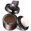 Hairline Powder Thin Hair Powder Hair Root Dye Touch Up hair powder modified powder forehead filling powder hairline shadow makeup hair mask concealer root cover up instant gray cover 4g (brown)