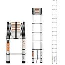 Equal 20 FT. Aluminium Folding Telescopic Ladder/Portable and Extension Ladder for Home & Outdoor; EN131 Certified - 150kg Weight Capacity (6.0m/15 Step) (Silver)