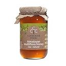 Conscious Food Himalayan Multi Flora Honey | 500g | NMR Tested Honey | Tested in German Lab | Immunity Booster, Raw, Unheated and Unpasteurized 100% Pure Honey