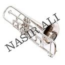 Valve Trombone Nickel Plated Bb Brass Musical Instrument with Carrying Case B Flat Trombone Mouthpiece for Standard Student & Beginner