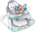 Fisher-Price Portable Baby Chair Sit-Me-Up Floor Seat with Snack Tray and Removable Toy Bar, Penguin Island