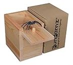 FunFamz The Original Spider Prank Box- Funny Wooden Box Toy Spider Prank, Hilarious Christmas, April Fool, or Birthday Surprise Toy and Gag Gift Practical Joke Bromas Kit