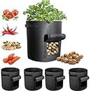 Plant Growing Bags 5 Packs Black 10 Gallon Fabric Pots Potatoes Strawberry Flap Seeds for Home Garden containers Smart Seed Box Vegetable Tomatoes Supplies