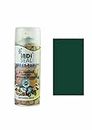INDISEAL All Purpose Fast Dry Interior & Exterior Spray Paint | DIY Quick Drying Spray Paint for Metal, Wood & Walls-400ml (MOSS GREEN)