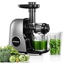 Juicer Machines, HOUSNAT Professional Celery Slow Masticating Juicer Extractor Easy to Clean, Cold Press Juicer with Quiet Motor and Reverse Function for Fruit & Vegetable, Brushes & Recipes Included