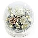 Kylin Glory Forever Flowers Real Eternal Roses Preserved Flowers Gift with LED Mood Lights for Valentine's Day Birthday Anniversary, Elegant Present for Girlfriend Wife Mom Women (Pearl White)
