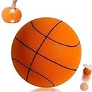 TAGYSH Silent Basketball for Kids and Adults - 9.44in Soft Foam Quiet Basketball - Basketball Dribbling Indoor Ball - Basketball Foam Balls for Home and Office Use