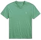 POLO RALPH LAUREN Men's V Neck Classic Fit Tee Shirt, (Spring/Summer 2023) Clover Green, Medium