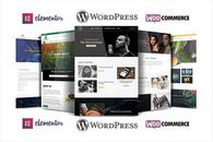 Professional Website Design For WordPress In 48hours