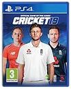 Cricket 19 International Edition (PS4)