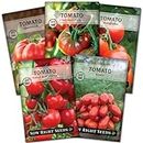 Sow Right Seeds - Classic Tomato Seed Collection for Planting - Cherokee Purple, Beefsteak, Large Red Cherry, Marglobe, and Roma Tomatoes - Non-GMO Heirloom Varieties Plant a Home Vegetable Garden