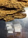 VIRGINIA GOLD Tobacco Seeds Canada Organically Grown  150+ seeds   Free Shipping
