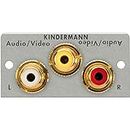 Kindermann vidéo/Audio Faceplate 7444000430 7444000430