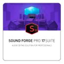 MAGIX Sound Forge Pro 17 Suite - [Download]