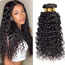 Brazilian Virgin Water Wave Human Hair 3 Bundles 100% Unprocessed Wet and Wavy Human Hair Bundles Natural Black Color for Black Women12 14 16 inch