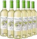 Señorío de los Llanos Verdejo - Vino Blanco - Caja de 6 Botellas x 750 ml