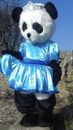 Disfraz de princesa panda mascota a la venta. Entrega gratuita. Fursuit.