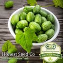 Mexican Gherkin CUCAMELON Heirloom Seeds | Mini Cucumbers | Non-GMO Garden Seeds