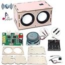DIY Bluetooth Speaker Box Kit Electronic Sound Amplifier - Build Your Own Portable Wood Case Bluetooth Speaker with Sound - Science Experiment and STEM Learning for Kids, Teens and Adults