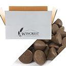 WinCrest Mini Unwrapped Hershey Kisses - 5 Lb Case