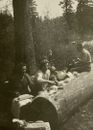 Family Having Picnic On Log In Forest B&W Photograph 2.75 x 4