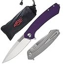 Skimen Knife - Pocket Folding Knife GANZO Firebird Adimanti G10 Handle D2 Steel (Purple)