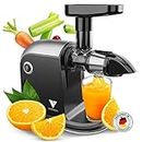 Vandenberg [L'ORIGINAL] - Slow Juicer de légumes et de fruits - [150 W] - Extracteur de jus électrique avec fonction d'inversion, préservant les vitamines brosse de nettoyage incluse - Sans BPA