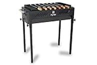 H Hy-tec (Device) Hybb, Backyard Charcoal Grill Barbeque With 7 Skewers & Charcoal Tray (Stellar Black), Free Standing