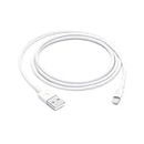 Compatible Original Charger [Apple MFi Certified] Lightning to C USB Cable Compatible For iPhone Xs Max/Xr/Xs/X/8/7/6s/6plus/5s,iPad Pro/Air/Mini,iPod Touch(White 1M/3.3FT) by Tu-DOX
