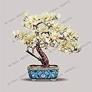 Shopmeeko 30pcs/Bag Magnolia Seeds, Beautiful Bonsai Magnolia Flower seedas for Home And Garden Seeding,Easy to Grow : 5