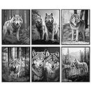 97 DECOR Black Wolf Decor - Wolf Poster Prints, Wolf Wall Decor Art, White Wolf Pictures for Home, Wolf Decorations for Bedroom, Grey Wolves Photo Wildlife Animal Posters for Boys Room (20x25 UNFRAMED)