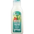 Jason Natural Products Shampoing en gel à base d'Aloé Vera à 84%, 473 ml