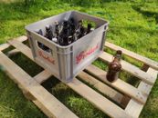 Grolsch stackable beer crate with 20 stopper bottles
