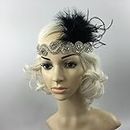 MYADDICTION Great Gatsby 1920 Flapper Headpiece Crystal Bridal Black Feather Headband Clothing, Shoes & Accessories | Womens Accessories | Hair Accessories