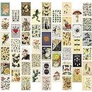 WAIZHIUA 50 Pezzi Set di Collage da Parete Botanico - Wall Kit Estetici - Poster Vintage Aesthetic Room Decor - Stampe per Camera da Letto Ragazzo