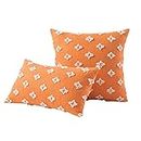 QQY Home Pillow Super Soft Comfortable Rebound Pillow for Back and Side Sleepers Bed Head Pillow, 2 Packs (Color : A)
