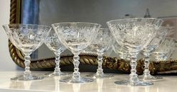 Juego de 6 vasos antiguos de cristal grabado Fostoria Chintz cupé/champagne