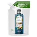 Shampoo Essences Herbal Repair mit Marokkanischem Arganöl Nachfüllpack 480ml