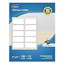 Address Labels, 2" x 4" NELKO Shipping Address Labels for Laser & Inkjet Printers, Mailing Labels, Easy to Peel, Strong Adhesive (25 Sheets, 250 Labels)