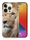 CASE COVER FOR APPLE IPHONE|MAJESTIC AFRICAN MALE LION